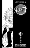 Kimetsu no Yaiba V13 TP