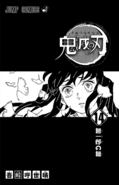 Kimetsu no Yaiba V14 TP