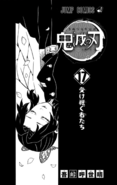 Kimetsu no Yaiba V17 TP