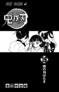 Kimetsu no Yaiba V19 TP