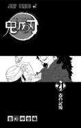 Kimetsu no Yaiba V21 TP