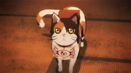 Tamayo's Cat Anime
