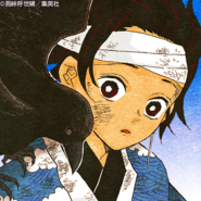 Tanjiro colored profile (training under Sakonji)