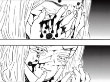 The Daughter Spider Demon after being attacked by Rui CH36